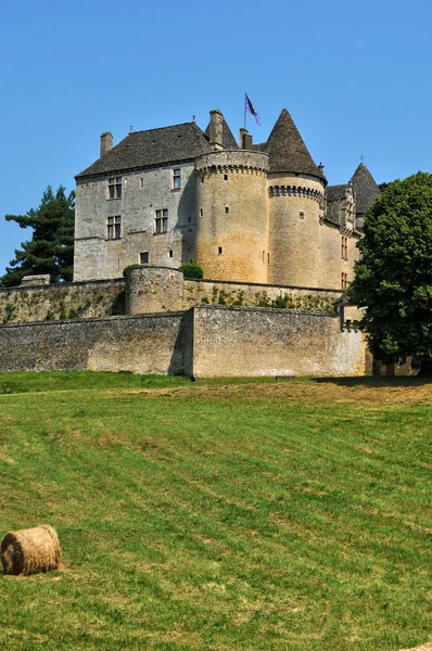 Francia, pintoresco castillo de Fenelon en Dordoña — Foto de Stock