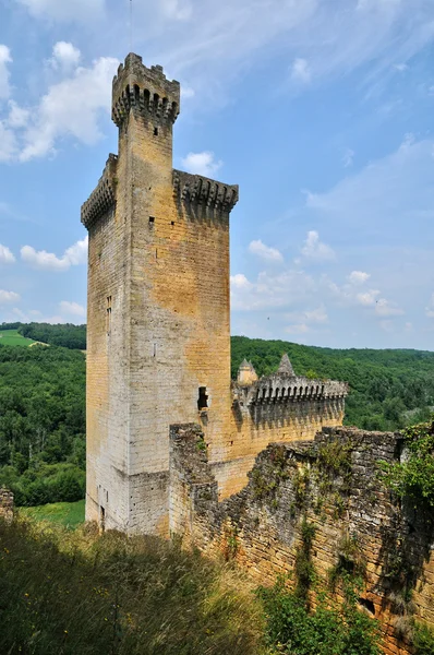 Франція, мальовничий замок commarque в Дордонь — стокове фото