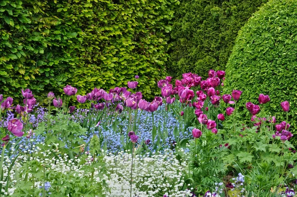 Normandie, un jardín público en Giverny — Foto de Stock