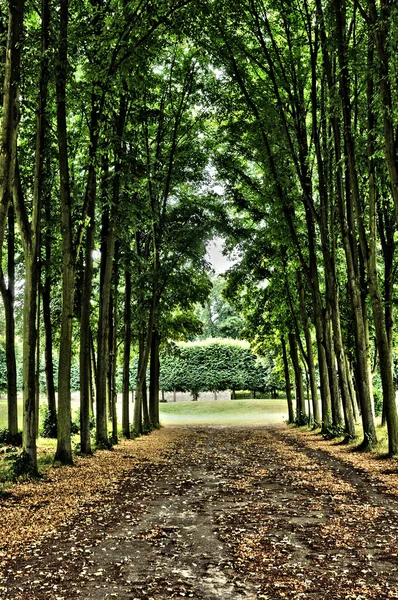 フランス、マルリー le roi の古典的な公園 — ストック写真