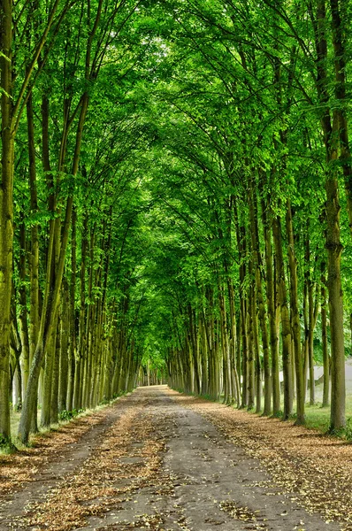 Frankreich, der klassische Park des Mergels le roi — Stockfoto