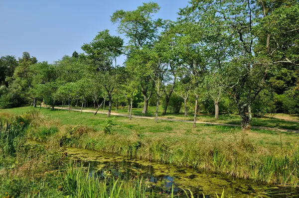 English landscaped garden in the park of Versailles Palace — Stock Photo, Image