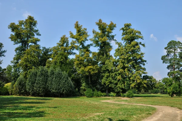 英語の庭園、公園のベルサイユ宮殿で — ストック写真