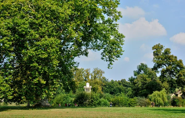 Jardim paisagístico inglês no parque do Palácio de Versalhes — Fotografia de Stock