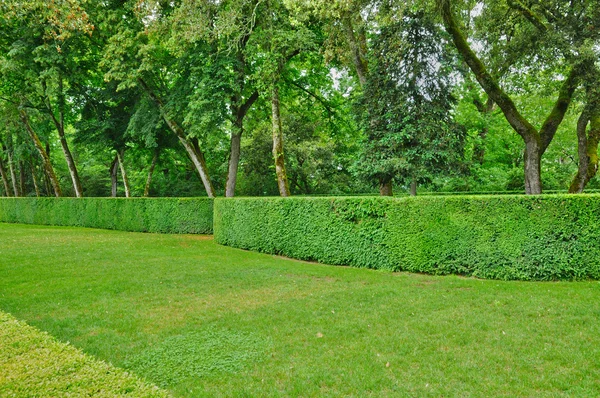 Franciaország, festői kertben, a marqueyssac, a dordogne — Stock Fotó