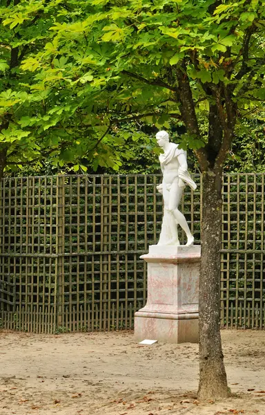 Fransa, versailles Sarayı parktaki heykelin — Stok fotoğraf