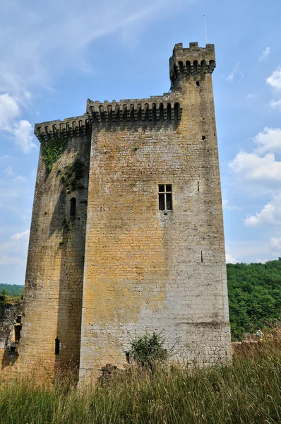 Frankrike, pittoreska slottet av commarque i dordogne — Stockfoto