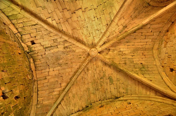 France, château pittoresque de Commarque en Dordogne — Photo