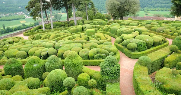 法国多尔多涅省的 marqueyssac 的风景如画的花园 — 图库照片