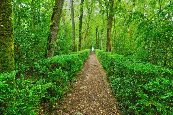 Francia, pittoresco giardino di Marqueyssac in Dordogna — Foto Stock