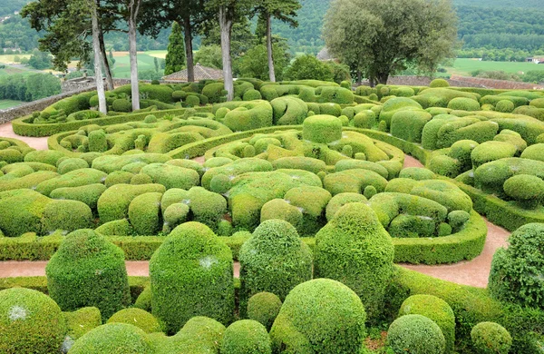 Франція, мальовничий сад marqueyssac в Дордонь — стокове фото
