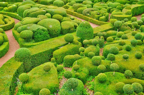 Francie, malebná zahrada marqueyssac v dordogne — Stock fotografie