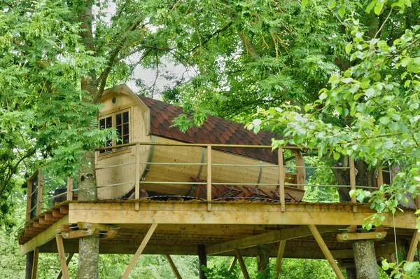 Normandia, capanna in legno su un albero nel parco del castello canonico — Foto Stock