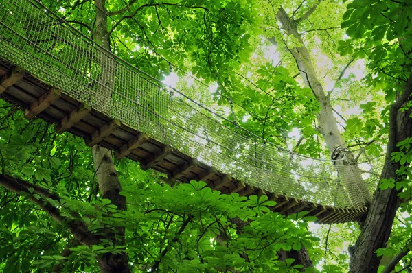 Normandie, Holzhütte in einem Baum im Park des Kanonischen Schlosses — Stockfoto