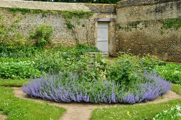 Francia, jardín del castillo canónico en Normandía —  Fotos de Stock