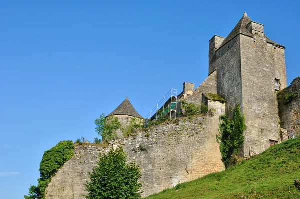 Francia, pintoresco castillo de Salignac — Foto de Stock