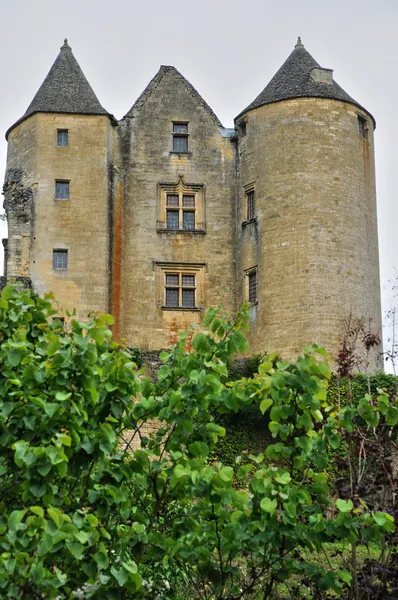 França, pitoresco castelo de Salignac — Fotografia de Stock