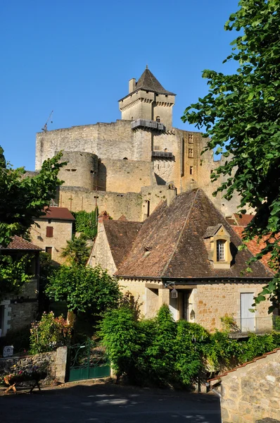Γαλλία, γραφικό κάστρο της castelnaud σε dordogne — Φωτογραφία Αρχείου