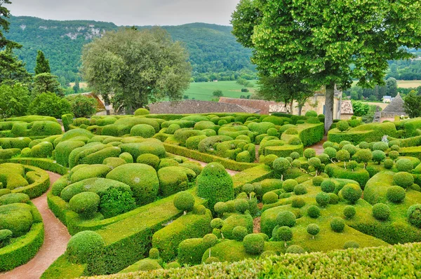 Francja, malowniczy ogród z marqueyssac w dordogne — Zdjęcie stockowe