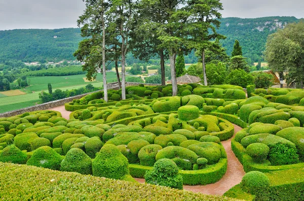 Francja, malowniczy ogród z marqueyssac w dordogne — Zdjęcie stockowe