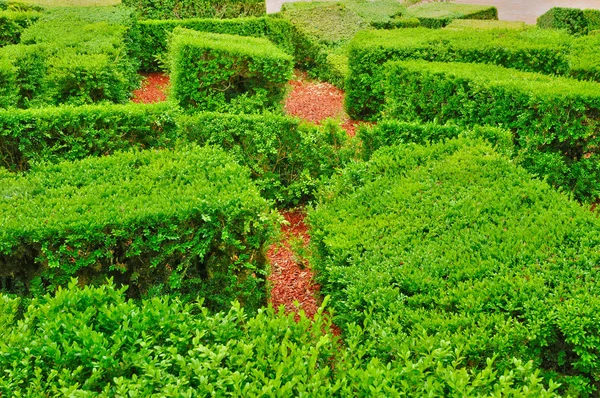 Frankrijk, schilderachtige tuin van marqueyssac in dordogne — Stockfoto