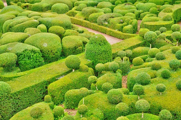 Francie, malebná zahrada marqueyssac v dordogne — Stock fotografie