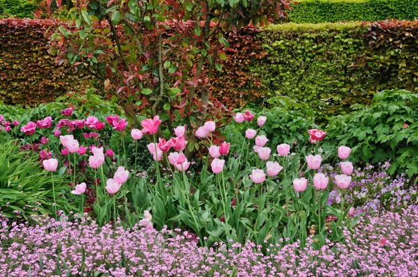 Normandie, un giardino pubblico a Giverny — Foto Stock