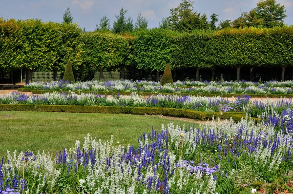 마리에 그랜드 trianon의 정원 앙 투 아 네트 부동산 — 스톡 사진