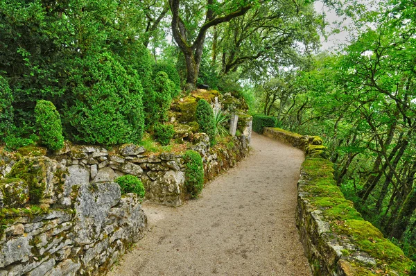 Francia, pittoresco giardino di Marqueyssac in Dordogna — Foto Stock