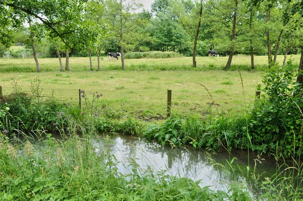 Normandie, landsbygden i den pittoreska byn av elbeuf sur — Stockfoto