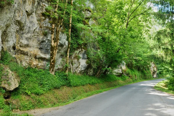 Francie, malebné venkovské silnici v carsac — Stock fotografie