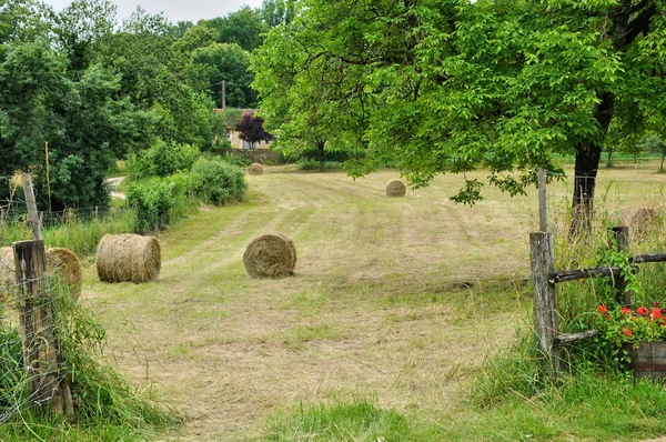 Perigord, Strohballen auf einem Feld in Salignac — Stockfoto