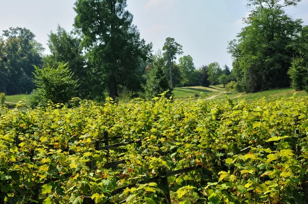 Domaine de Marie Antoinette in the park of Versailles Palace — Stock Photo, Image