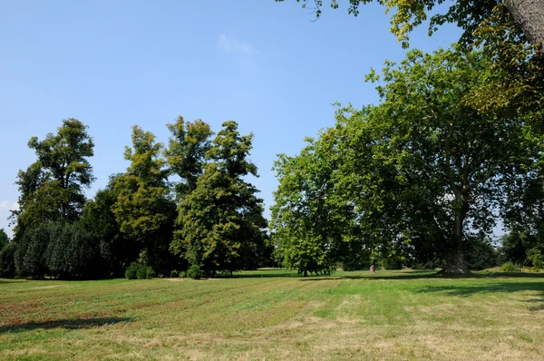 Angielski ogród krajobrazowy, w pałacu park wersalski — Zdjęcie stockowe