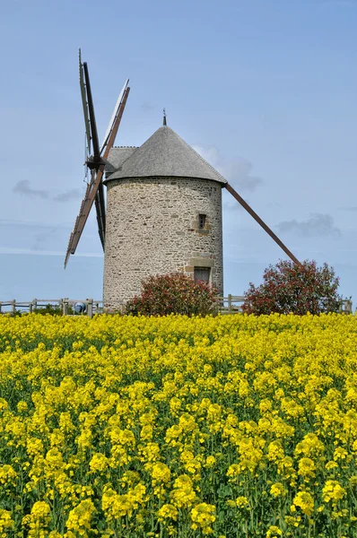 Frankrike, moidrey väderkvarnen i pontorson — Stockfoto