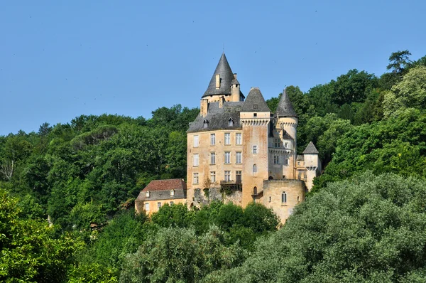 法国，如诗如画的城堡 de la 胭脂在圣 cyprien — 图库照片