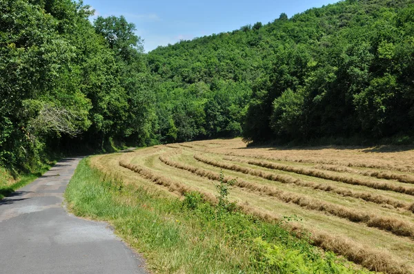 Landschaft von sainte mondane im perigord — Stockfoto