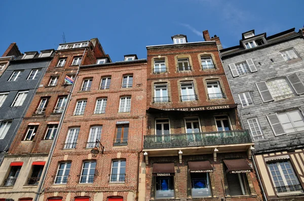 France, ville de Honfleur en Normandie — Photo