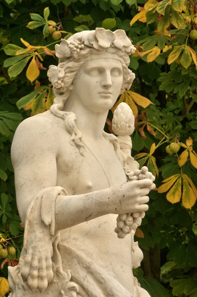 フランス ヴェルサイユ宮殿の公園で大理石の像 — ストック写真
