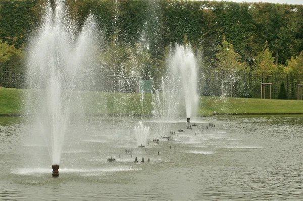 Francia, fuente en el parque Palacio de Versalles —  Fotos de Stock