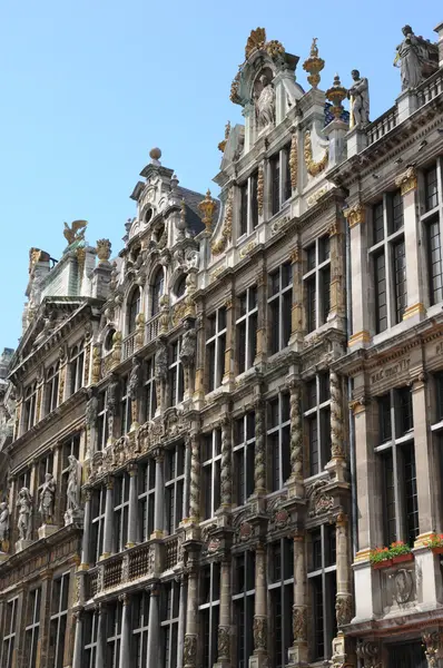 Бельгія, мальовничі Гран-Плас Брюсселя — стокове фото