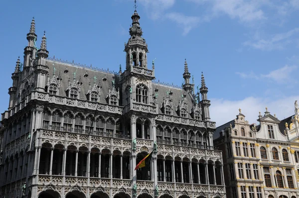 Бельгия, живописная площадь Брюсселя — стоковое фото