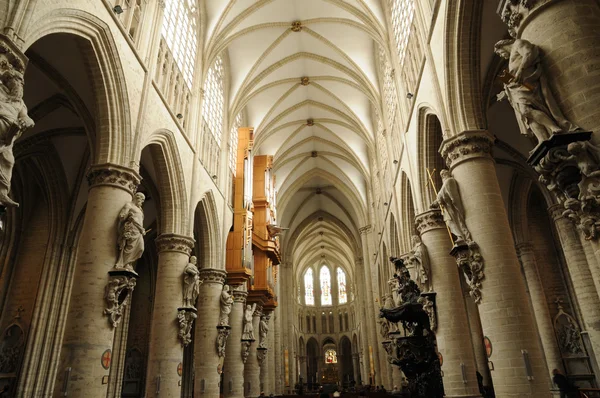 Belgium, picturesque cathedral of Brussels — Stock Photo, Image