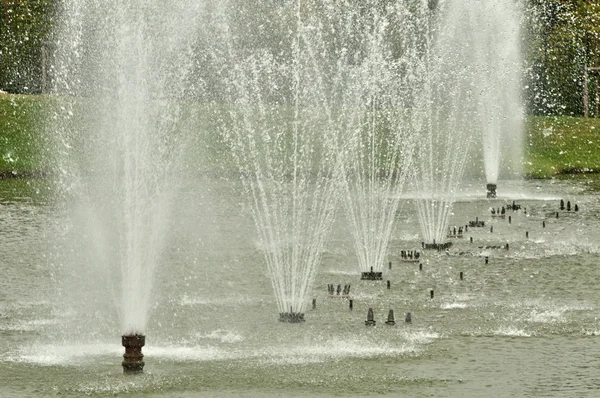 Francia, fuente en el parque Palacio de Versalles — Foto de Stock