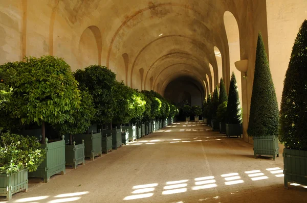 France,  classical Versailles palace Orangery — Stock Photo, Image