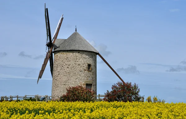 Frankrike, moidrey väderkvarnen i pontorson — Stockfoto