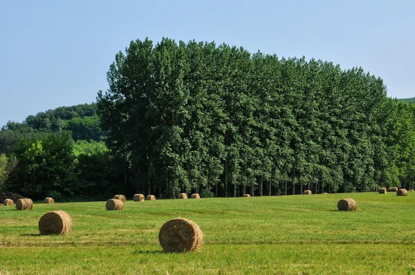 France, field in La Roque Gageac — Stock Photo, Image