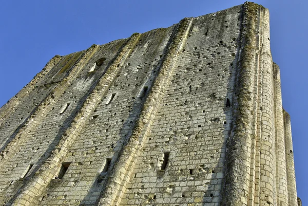 Castle of Loches in Indre et Loire — Stock Photo, Image