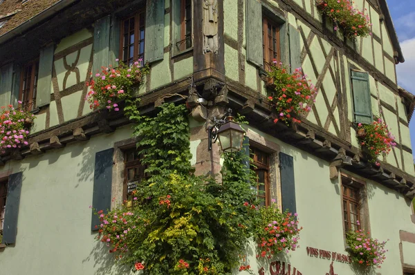 Fransa, riquewihr alsace içinde küçük bir köy — Stok fotoğraf