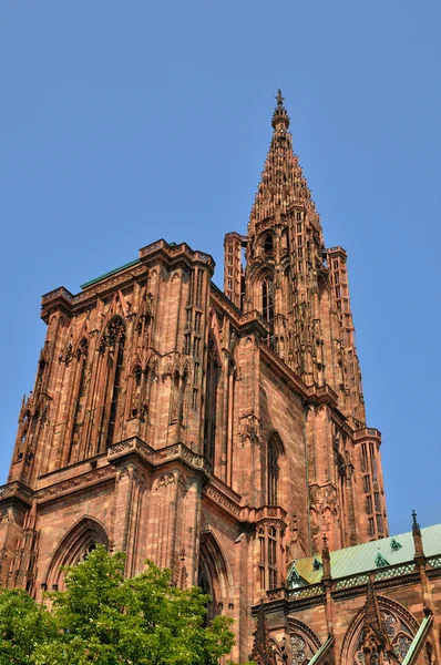 Frankrike, katedralen i strasbourg i alsace — Stockfoto